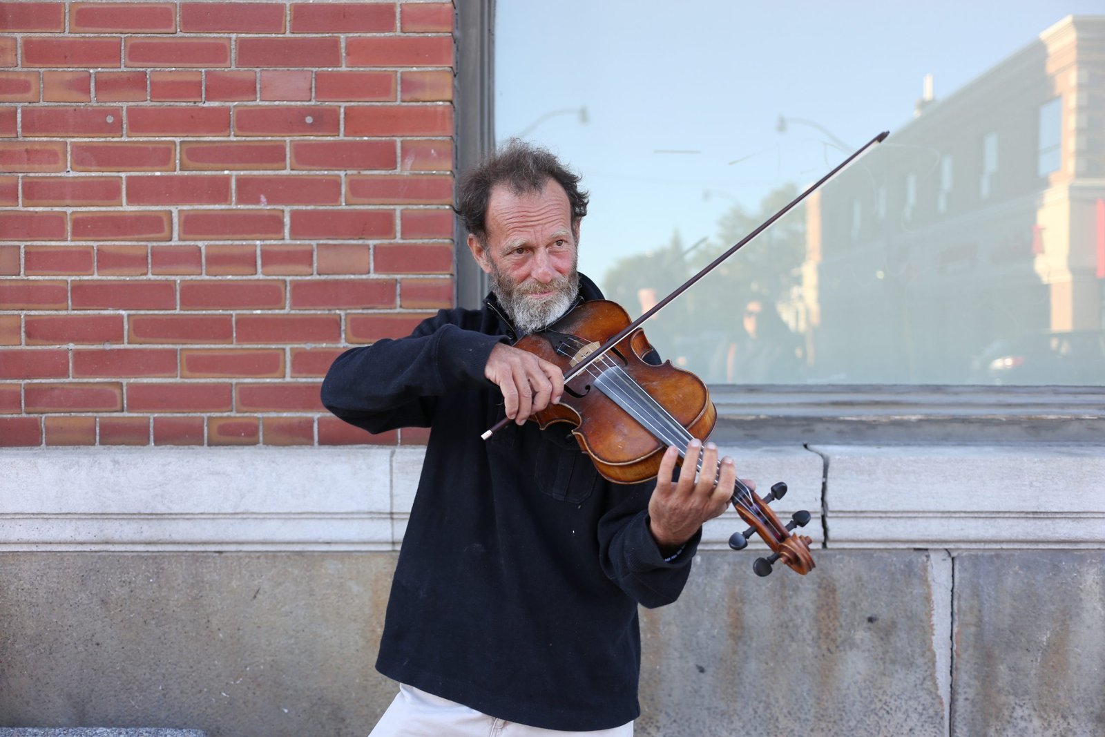 semco Salehi - I Am Torontonian